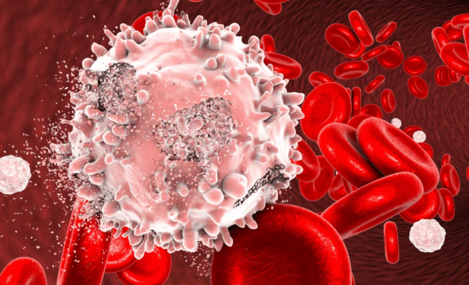 INDIA INTERNATIONAL CLINICAL HAEMATOLOGY EXPO 2026 - Haryana