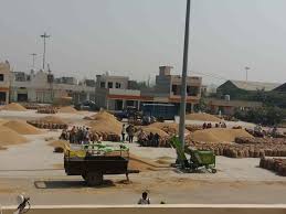 New Grain Market, Karnal, Haryana (NCR Region)